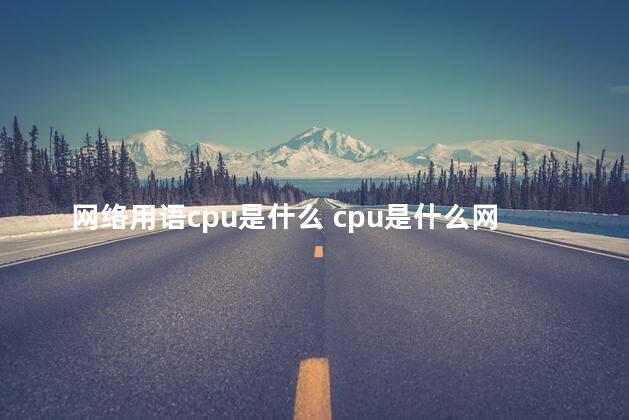 网络用语cpu是什么 cpu是什么网络梗